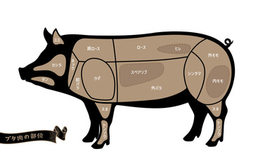 豚のお肉の部位名称　日本語表記
