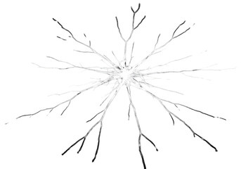 ultra-detailed macro shot of a bright, luminescent fractal fracture radiating on a deeply textured matte black obsidian surface, surrounded by vast copy space. concept of contained power and rupture