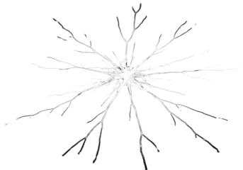 ultra-detailed macro shot of a bright, luminescent fractal fracture radiating on a deeply textured matte black obsidian surface, surrounded by vast copy space. concept of contained power and rupture