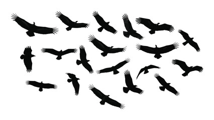 A flock of birds in flight a striking black silhouette