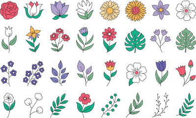 Collection of hand drawn colorful floral elements and leaves