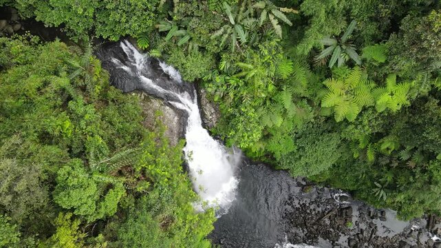 Drone Footage of Waterfall in Dense Forest &ndash; Gomblang Waterfall from Above, Java Island, Indonesia