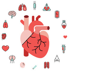 Human Heart and Organs Icons Medical Health Concept
