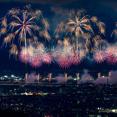 Beautiful fireworks at the 2025 Nagaoka Festival Fireworks Show
