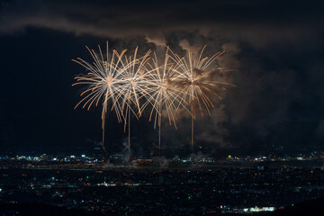 Beautiful fireworks at the 2025 Nagaoka Festival Fireworks Show