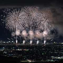 Beautiful fireworks at the 2025 Nagaoka Festival Fireworks Show