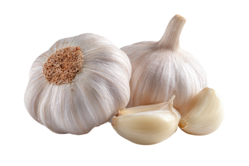 Fresh garlic bulbs and peeled cloves isolated on transparent background