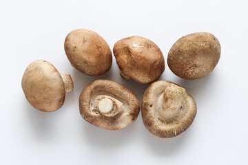 Several fresh Shiitake mushrooms on a white background. These popular culinary fungi are known for their rich, savory, and umami flavor in Asian and international dishes.
