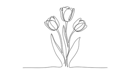 Obraz premium vector illustration of a rose, Three tulips on stems in continuous one line art style. Flower bouquet sketch with editable black stroke on white background. Vector illustration
