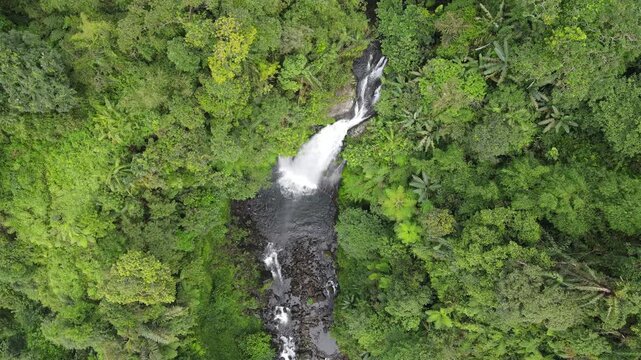 Drone Footage of Waterfall in Dense Forest &ndash; Gomblang Waterfall from Above, Java Island, Indonesia