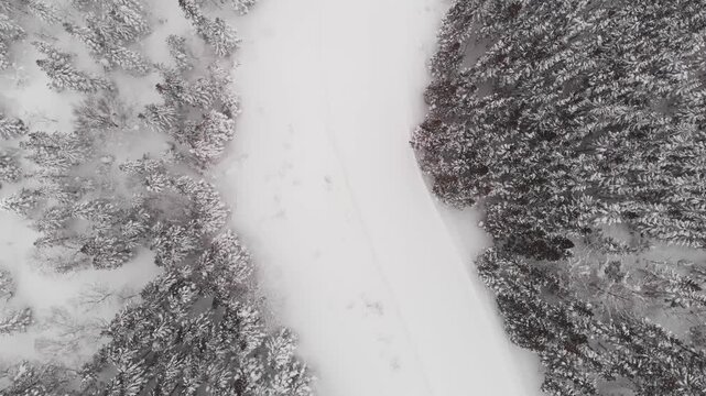 Snowboarding Ski path between snowed forest in Aomori Japan, aerial drone fly Mount Iwaki