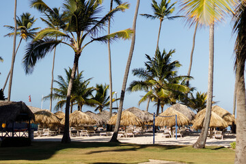 A beautiful seaside resort with palm trees, colorful buildings, and artistic statues on a sunny summer day. Vacation season in the Caribbean. Hotel in Punta Cana, Dominican Republic, July 22, 2025