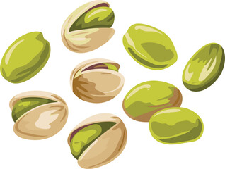 Colorful fresh pistachio nuts set, shelled and unshelled, healthy snack, organic food ingredient illustration vector