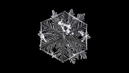 Extreme macro of perfect hexagonal snowflake isolated on black background