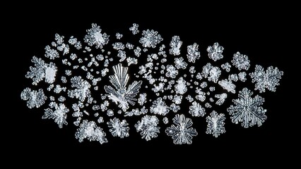 Collection of various real snowflakes isolated on black background macro view