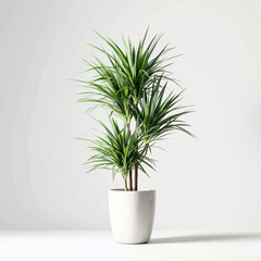 Pure Garden 51-inch Tropical Yucana artificial tree