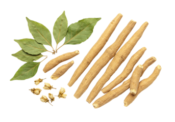 dried ashwagandha roots (tan/brown, fibrous) and sage green leaves, hyperrealistic macro flat lay on a brilliant white background, studio high-key illumination, ayurvedic wellness concept