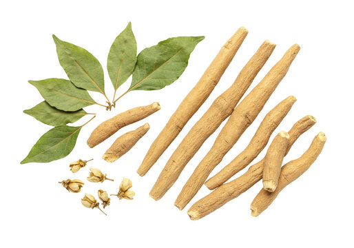 dried ashwagandha roots (tan/brown, fibrous) and sage green leaves, hyperrealistic macro flat lay on a brilliant white background, studio high-key illumination, ayurvedic wellness concept