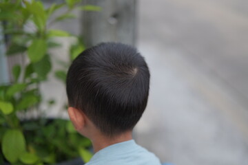 Obraz premium Young Child with Short Dark Hair Sitting Near Green Plants Outdoors in Natural Light
