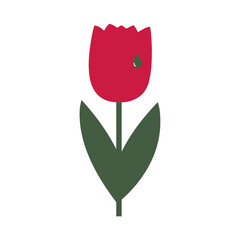 Stylized tulip with red petals and a water drop, set against a clean white backdrop.