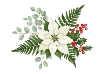 detailed watercolor botanical plate of a transparent poinsettia, emerald ferns, and crimson holly berries isolated on a bright white background. concept for sophisticated christmas illustration