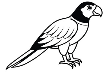 Fototapeta premium macaw silhouette line art vector illustration with a white background