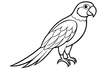 Fototapeta premium macaw silhouette line art vector illustration with a white background