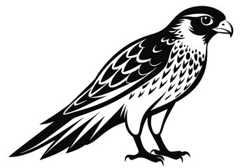 Fototapeta premium kestrel silhouette line art vector illustration with a white background