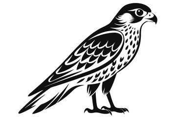 kestrel silhouette line art vector illustration with a white background