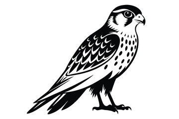 Fototapeta premium kestrel silhouette line art vector illustration with a white background