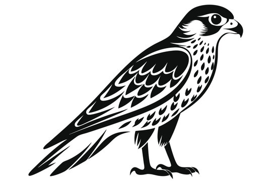 kestrel silhouette line art vector illustration with a white background
