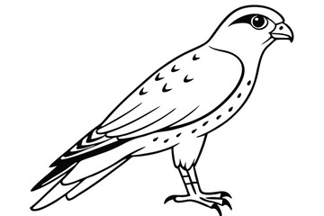 Fototapeta premium kestrel silhouette line art vector illustration with a white background