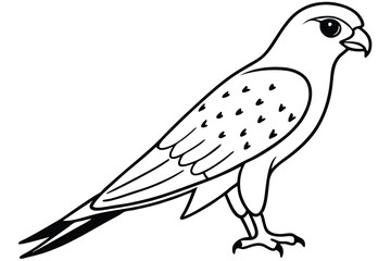 Fototapeta premium kestrel silhouette line art vector illustration with a white background