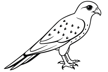 Fototapeta premium kestrel silhouette line art vector illustration with a white background