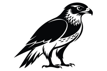 Fototapeta premium hawk silhouette line art vector illustration with a white background
