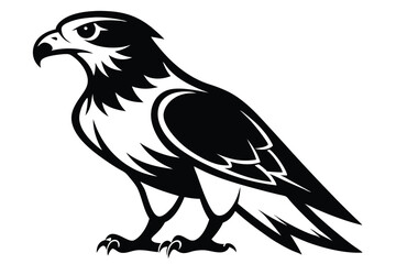 Fototapeta premium hawk silhouette line art vector illustration with a white background