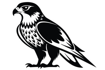 Fototapeta premium hawk silhouette line art vector illustration with a white background