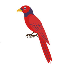 鮮やかな赤と紺の羽根の南国風エキゾチックな鳥のベクターイラスト