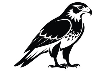 Fototapeta premium hawk silhouette line art vector illustration with a white background