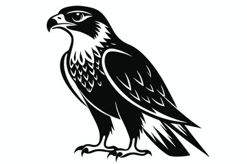 Fototapeta premium hawk silhouette line art vector illustration with a white background