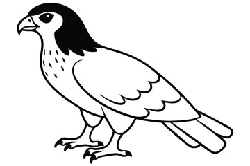 Fototapeta premium hawk silhouette line art vector illustration with a white background