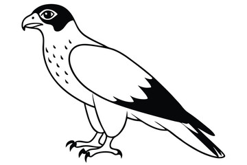 Fototapeta premium hawk silhouette line art vector illustration with a white background