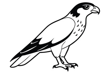 Fototapeta premium hawk silhouette line art vector illustration with a white background