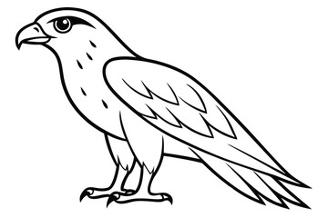 Obraz premium hawk silhouette line art vector illustration with a white background