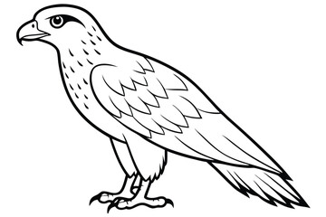Fototapeta premium hawk silhouette line art vector illustration with a white background