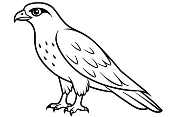 Fototapeta premium hawk silhouette line art vector illustration with a white background