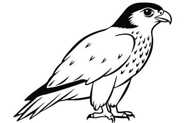 hawk silhouette line art vector illustration with a white background