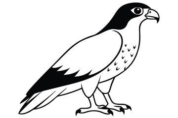 Obraz premium hawk silhouette line art vector illustration with a white background