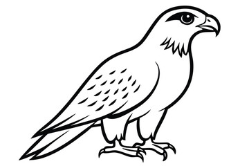 Obraz premium hawk silhouette line art vector illustration with a white background