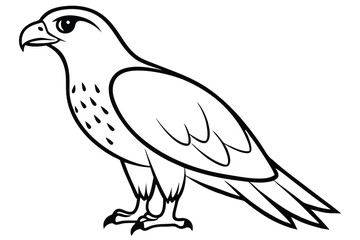 Obraz premium hawk silhouette line art vector illustration with a white background